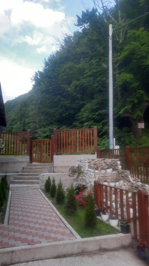 Izvorul Maleii Petrila