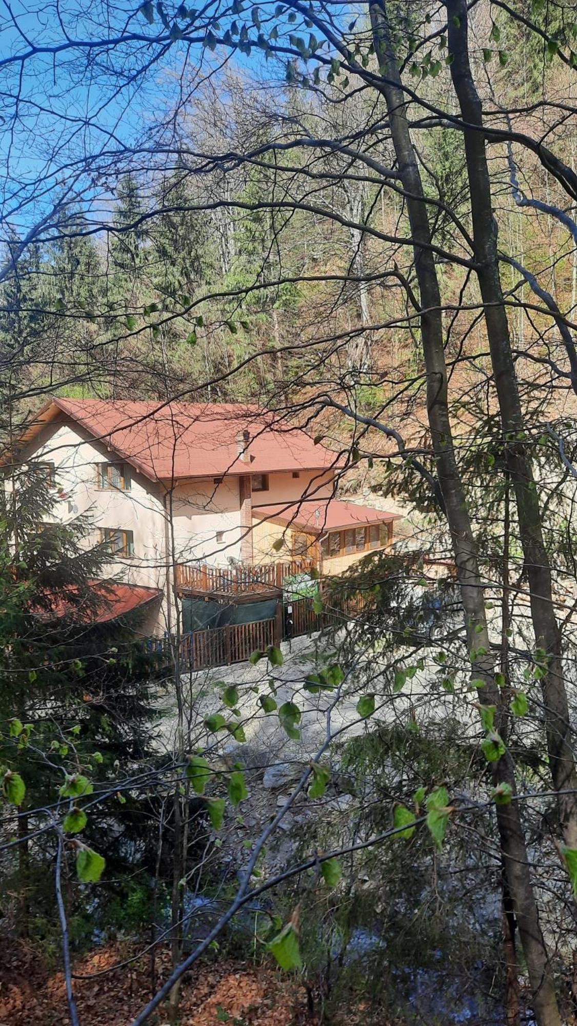 Guest house Izvorul Maleii *
